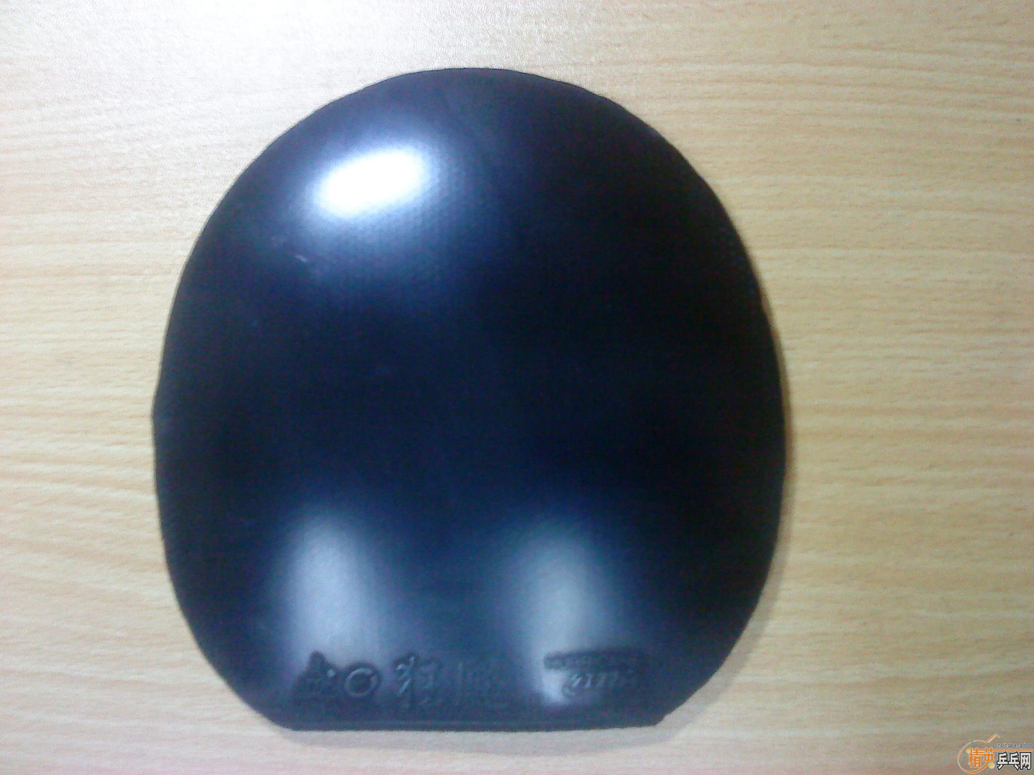 ���������06��ɫʡ��+��ɫspeedfx