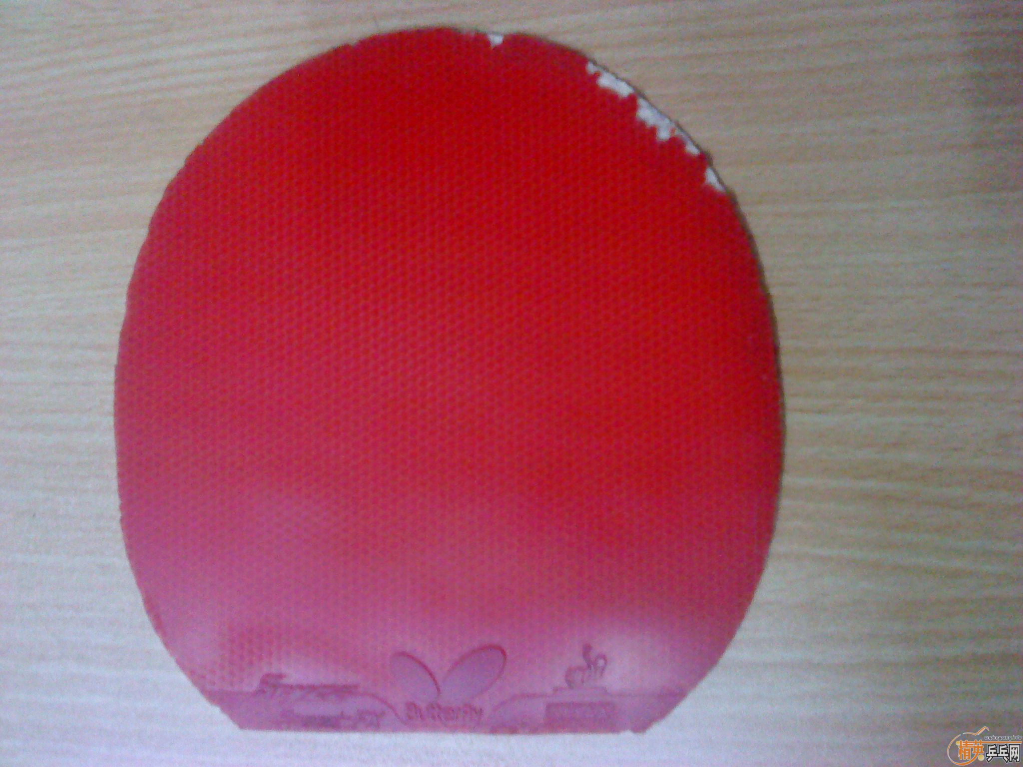 ���������06��ɫʡ��+��ɫspeedfx