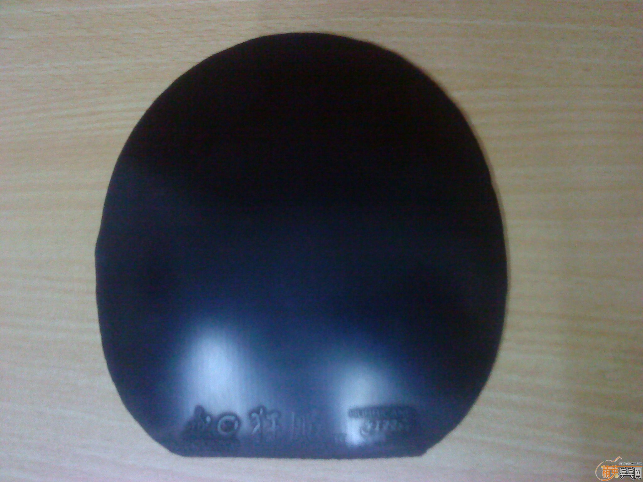 ���������06��ɫʡ��+��ɫspeedfx