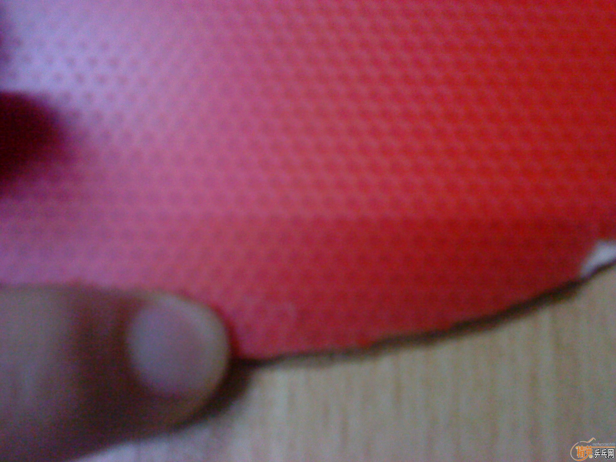 ���������06��ɫʡ��+��ɫspeedfx