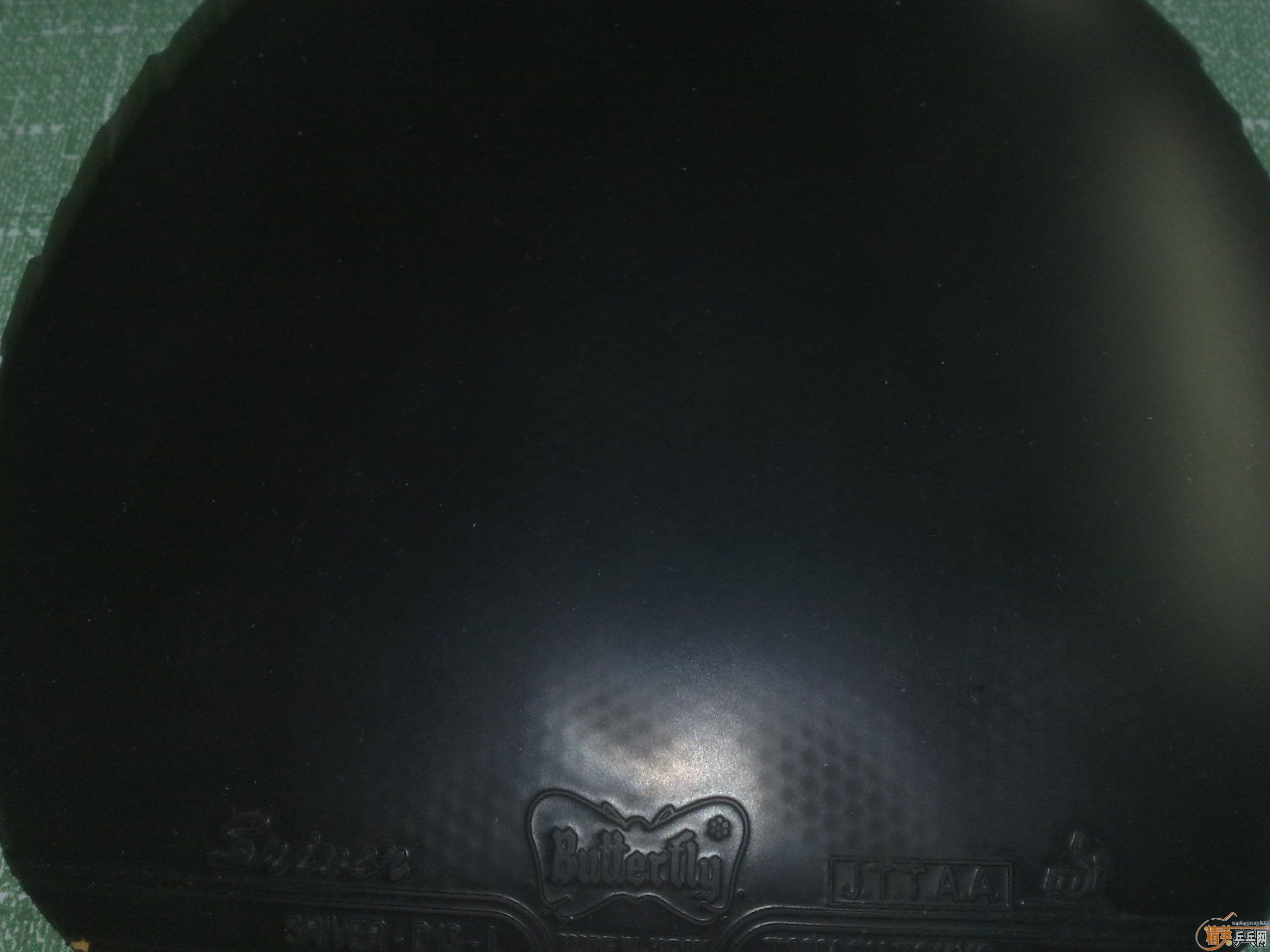 ����ɫ˹����