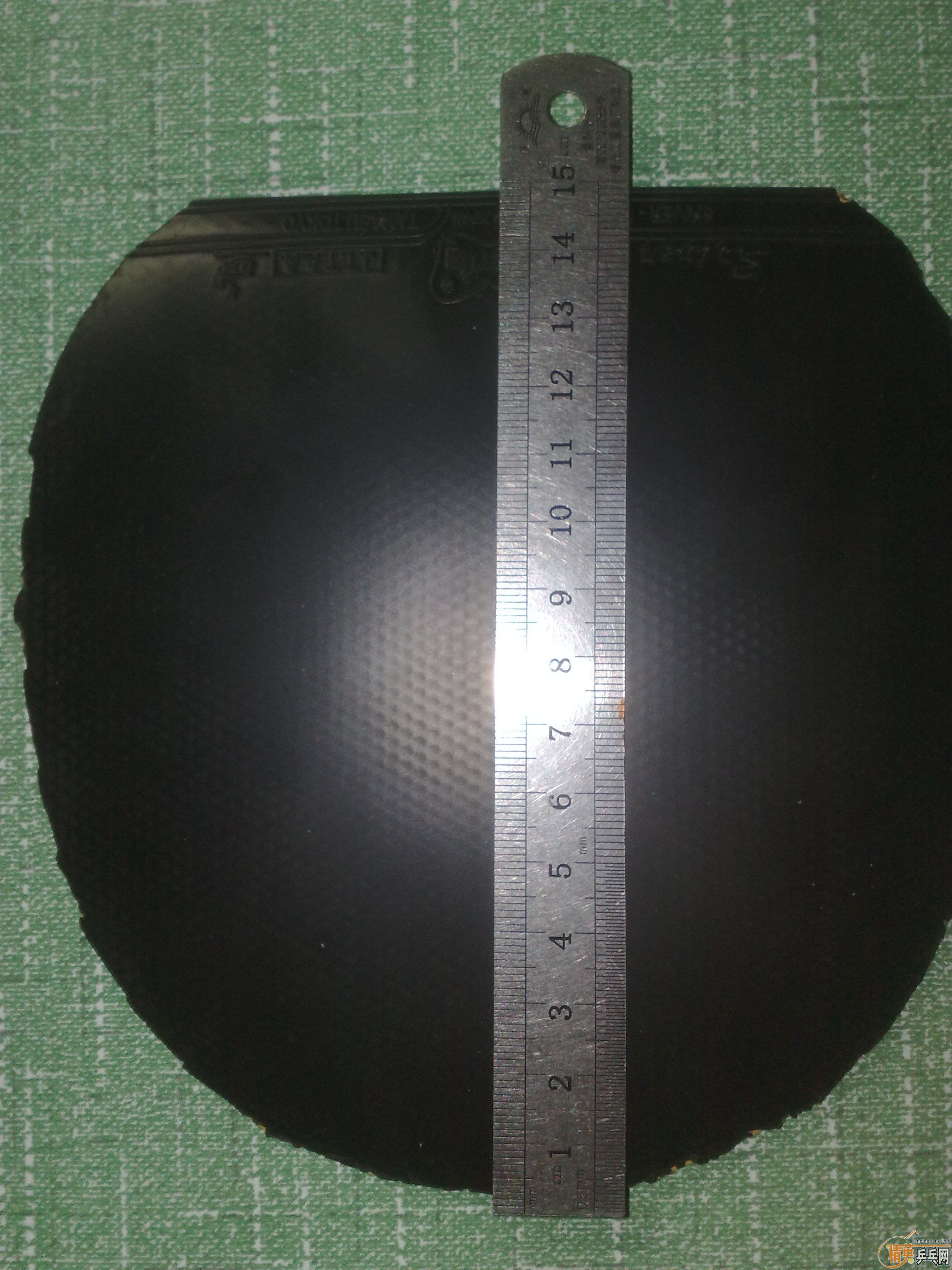 ����ɫ˹����