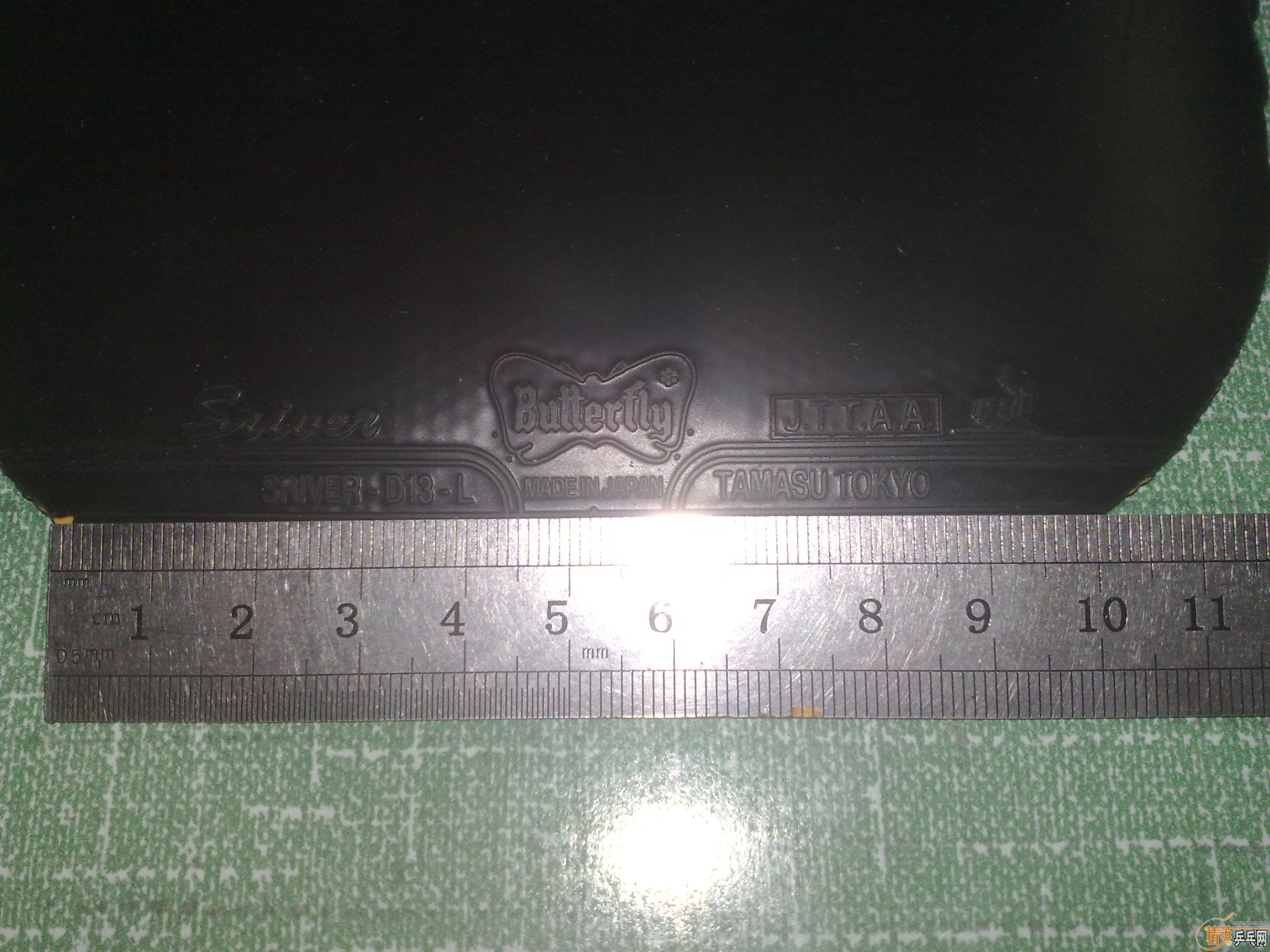 ����ɫ˹����