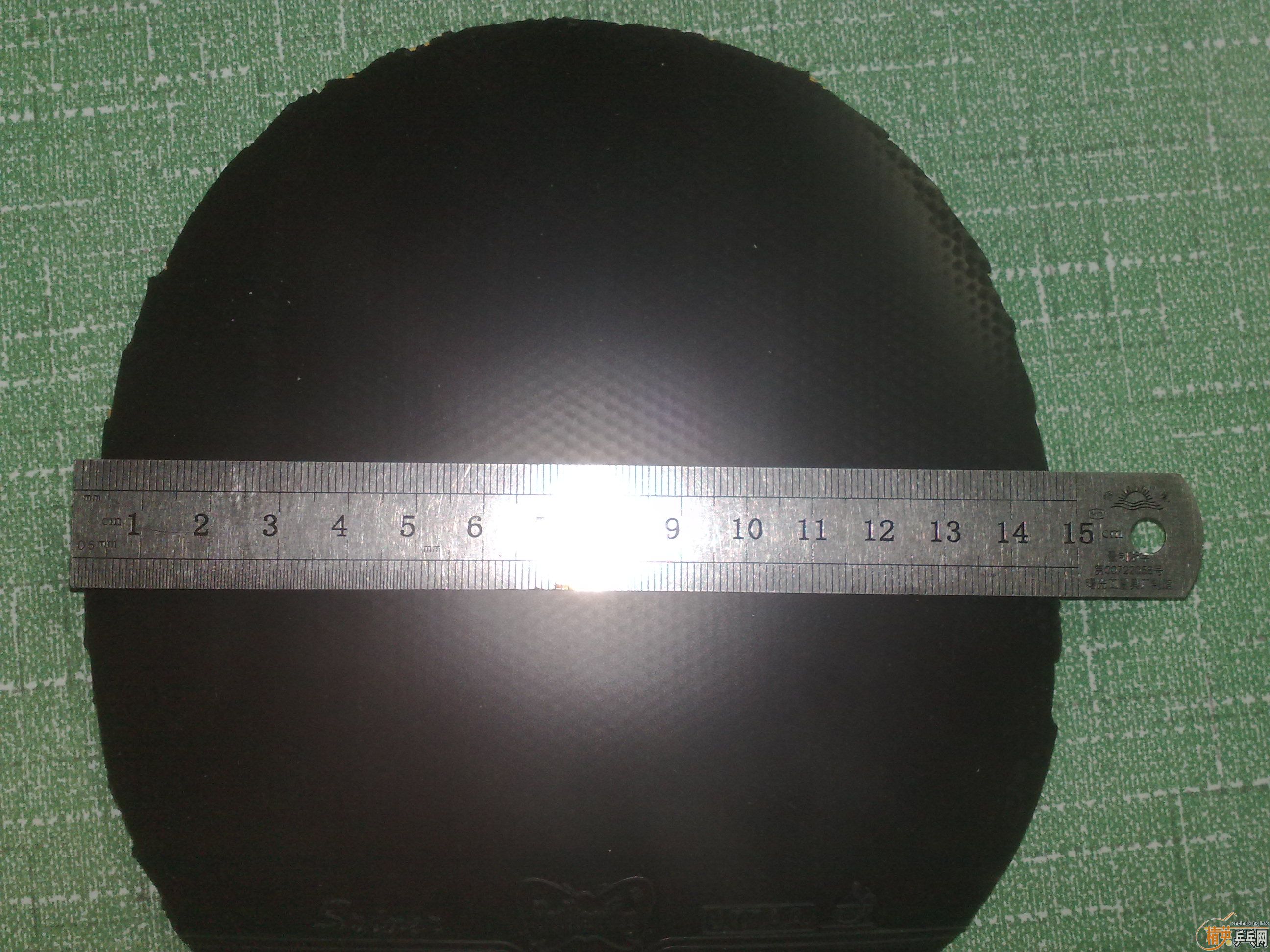 ����ɫ˹����