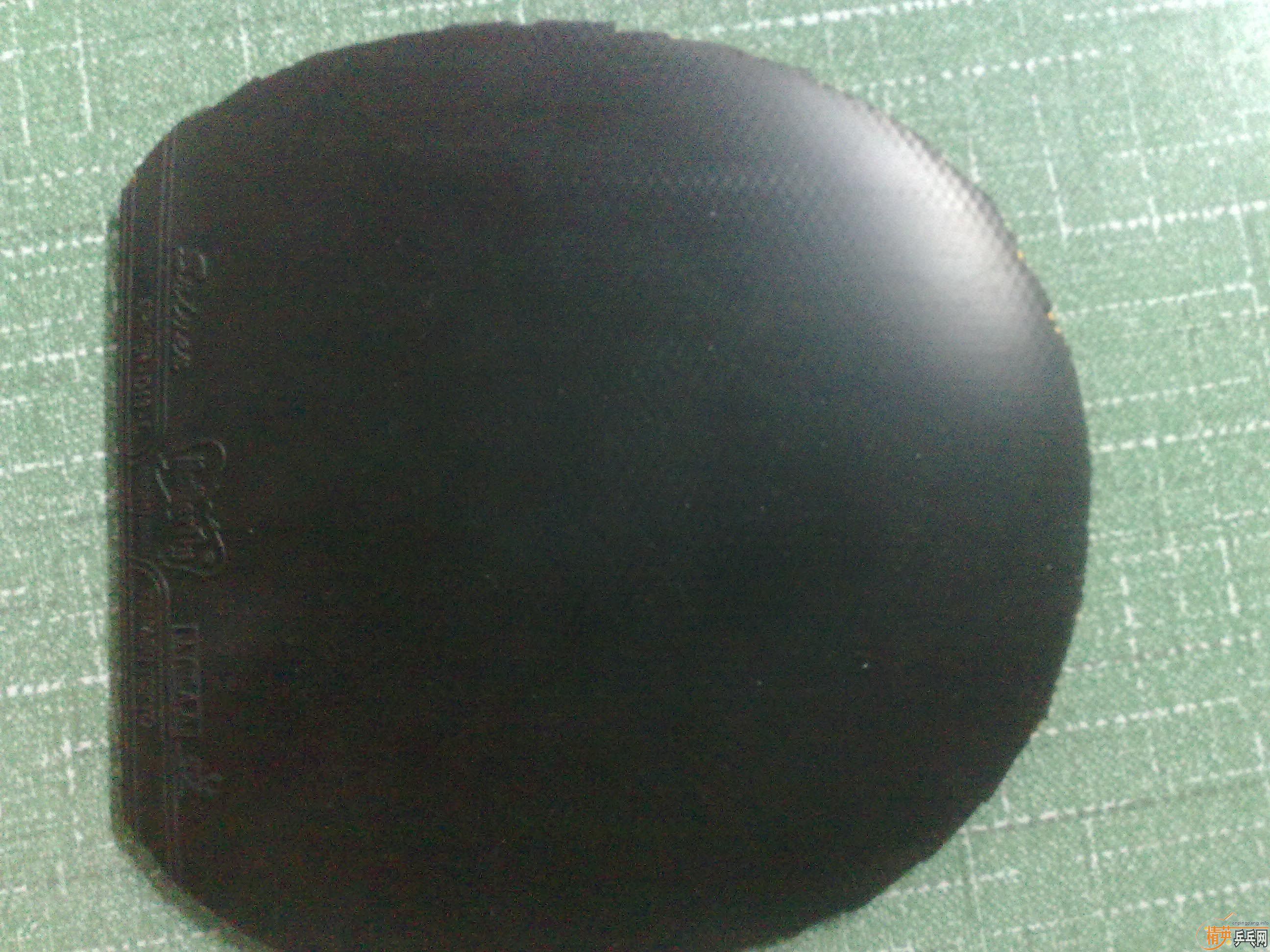 ����ɫ˹����