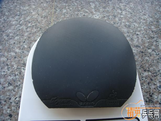 �����۳����SPEED��