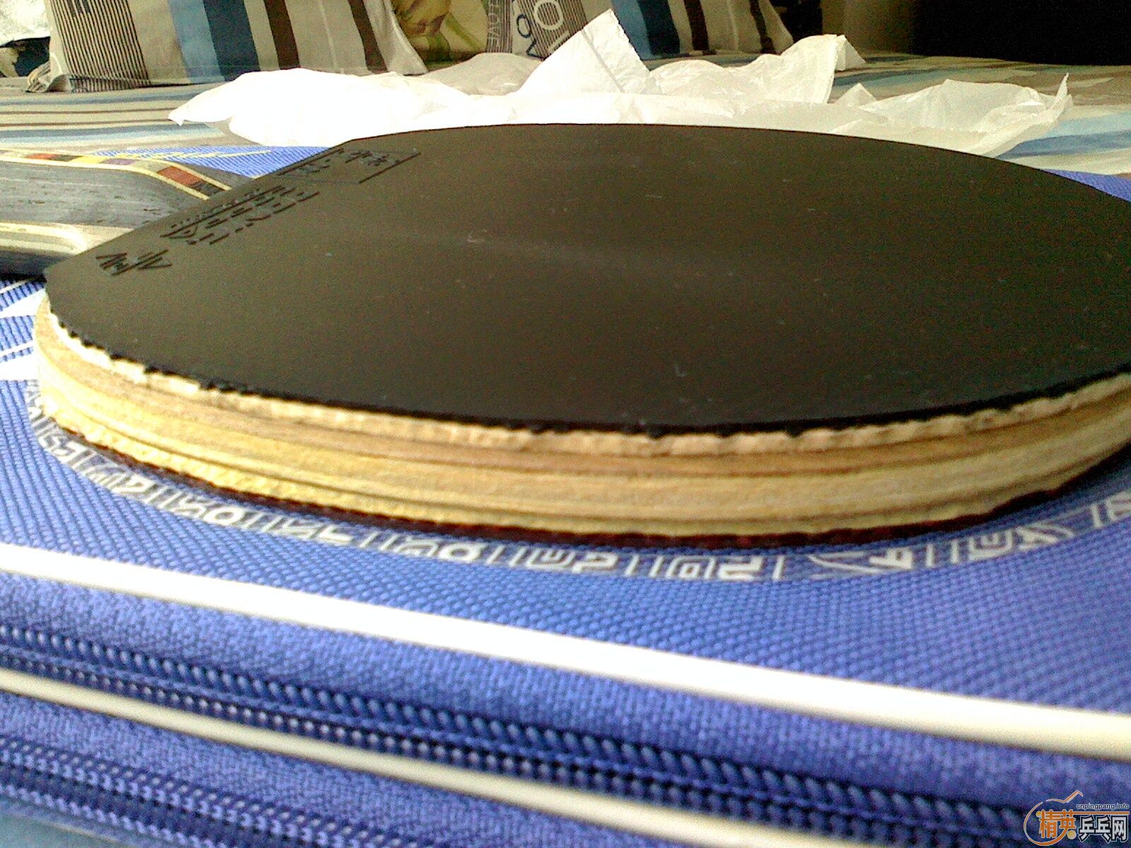 ����ˮ�������򽻻���ɫ�õ�EG ���ǡ[�������]��240���ʣ�