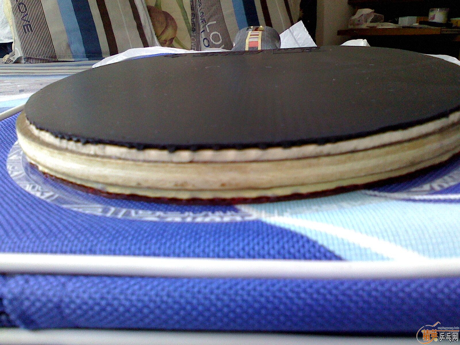 ����ˮ�������򽻻���ɫ�õ�EG ���ǡ[�������]��240���ʣ�