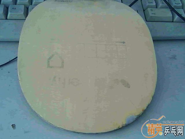 ����������̼��׷��һ����ɱ������ץ����