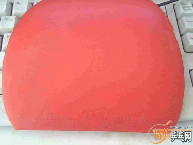 ����������̼��׷��һ����ɱ������ץ����