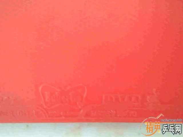 ����������̼��׷��һ����ɱ������ץ����