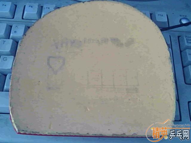 ����������̼��׷��һ����ɱ������ץ����