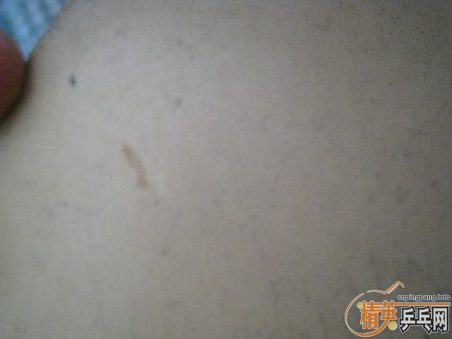 ������ULC�����ӹ��Ϻ�ī�ϣ����׽���