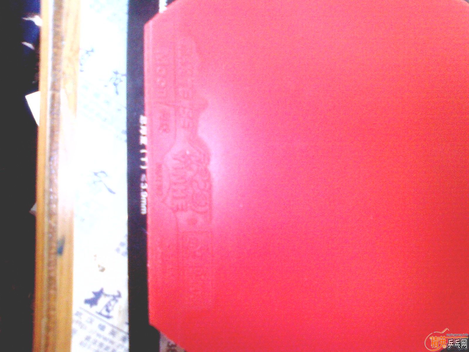 �������򣡣�