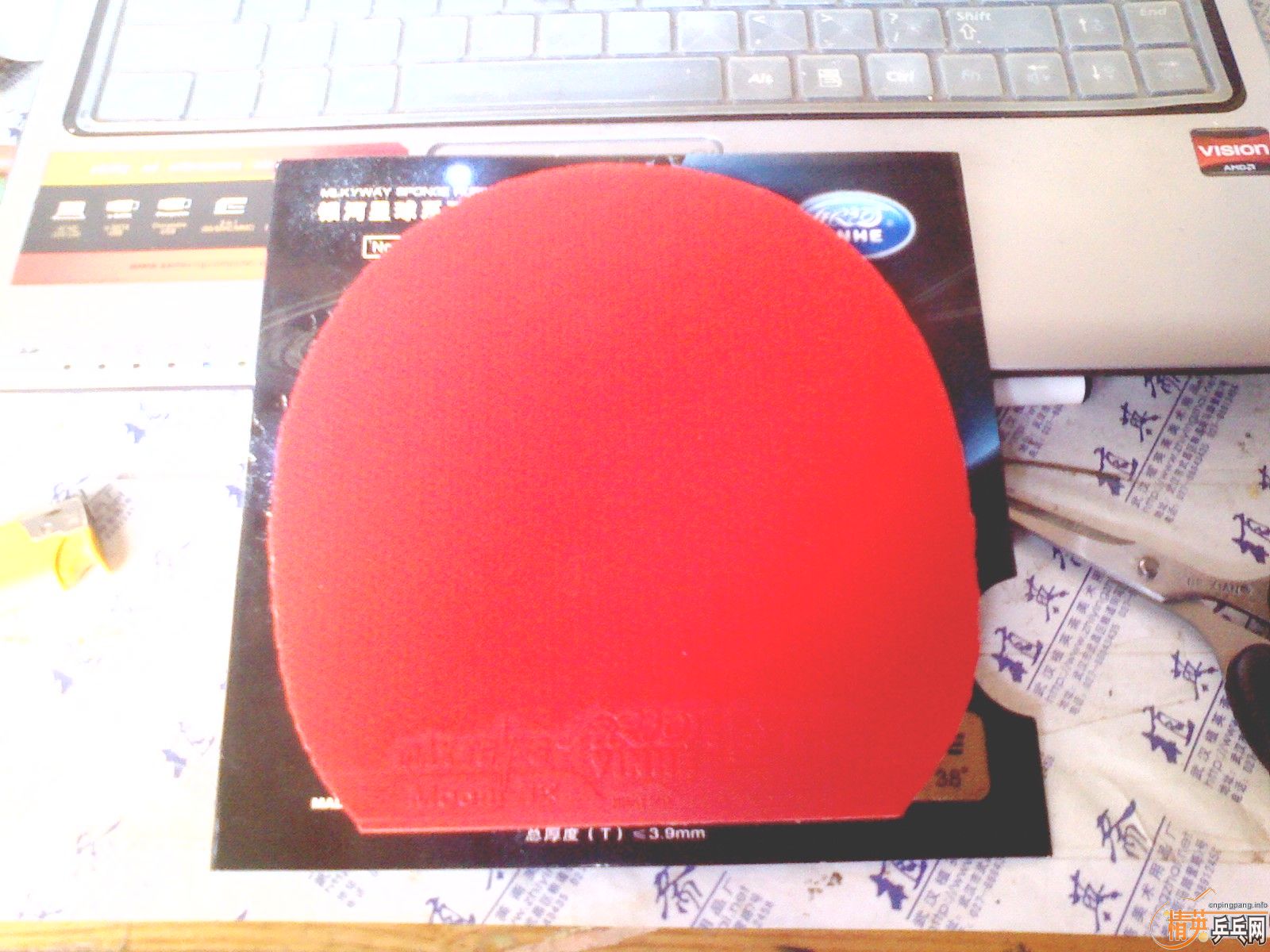 �������򣡣�