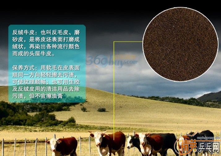 ��ϲ����ɽͽ�������ѽ���---Ӣ����һ����Ʒ�ƺ�̩�˷�ˮͽ��Ь