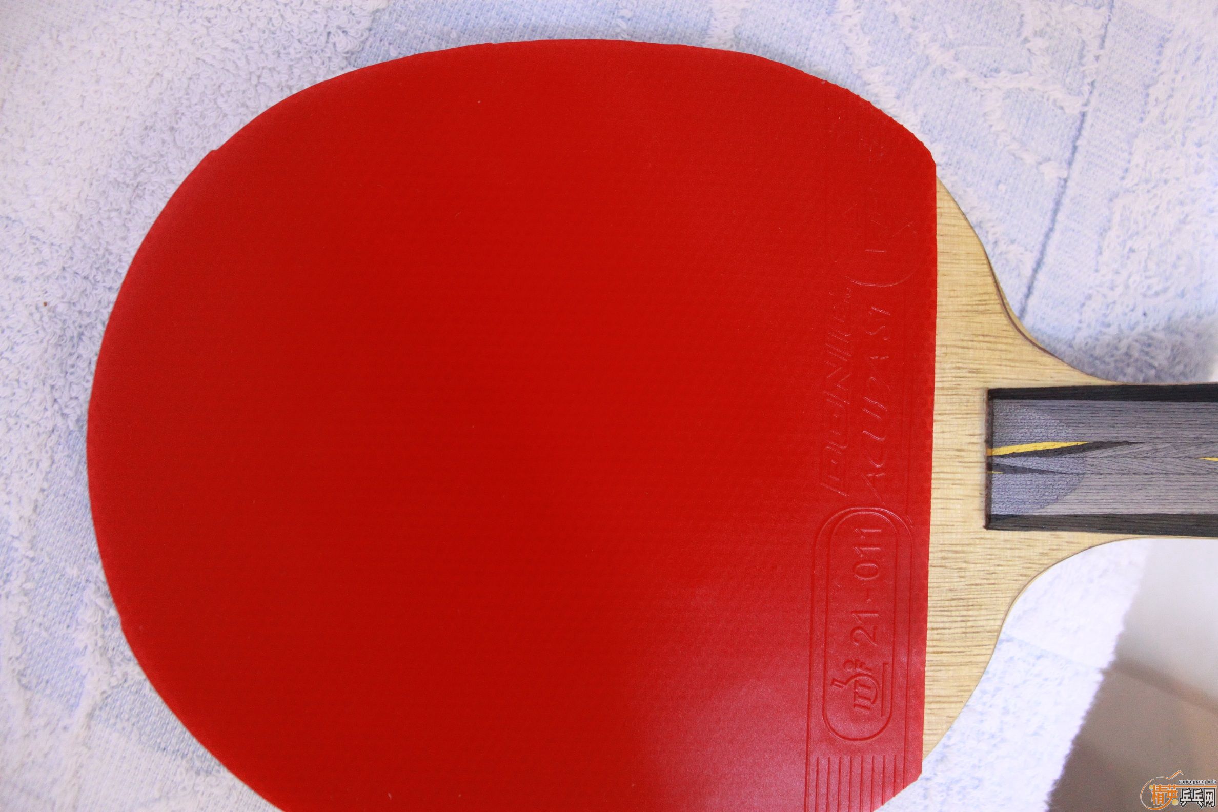 ����9�� ֱ�����S1��ɫ�׽�