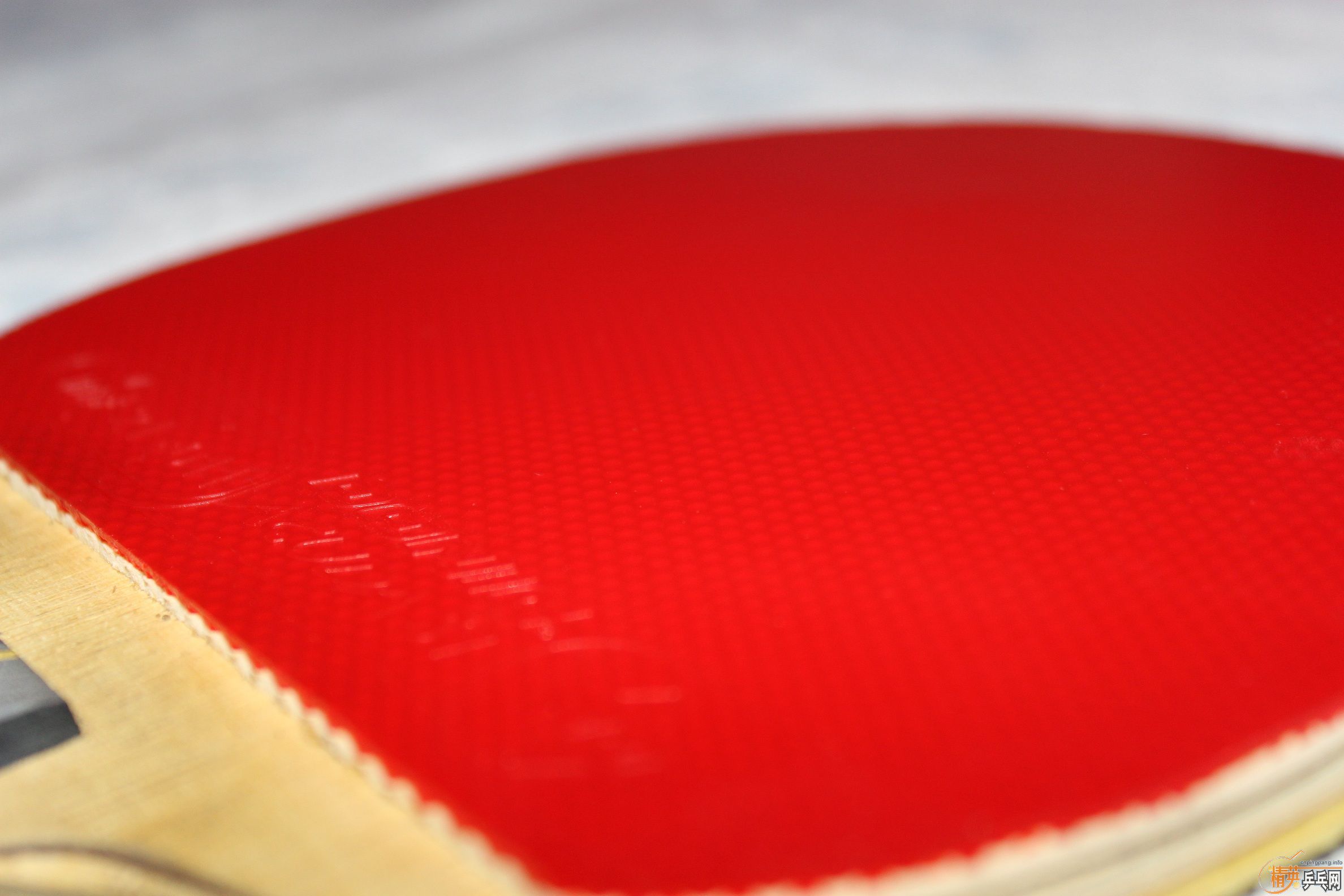 ����9�� ֱ�����S1��ɫ�׽�