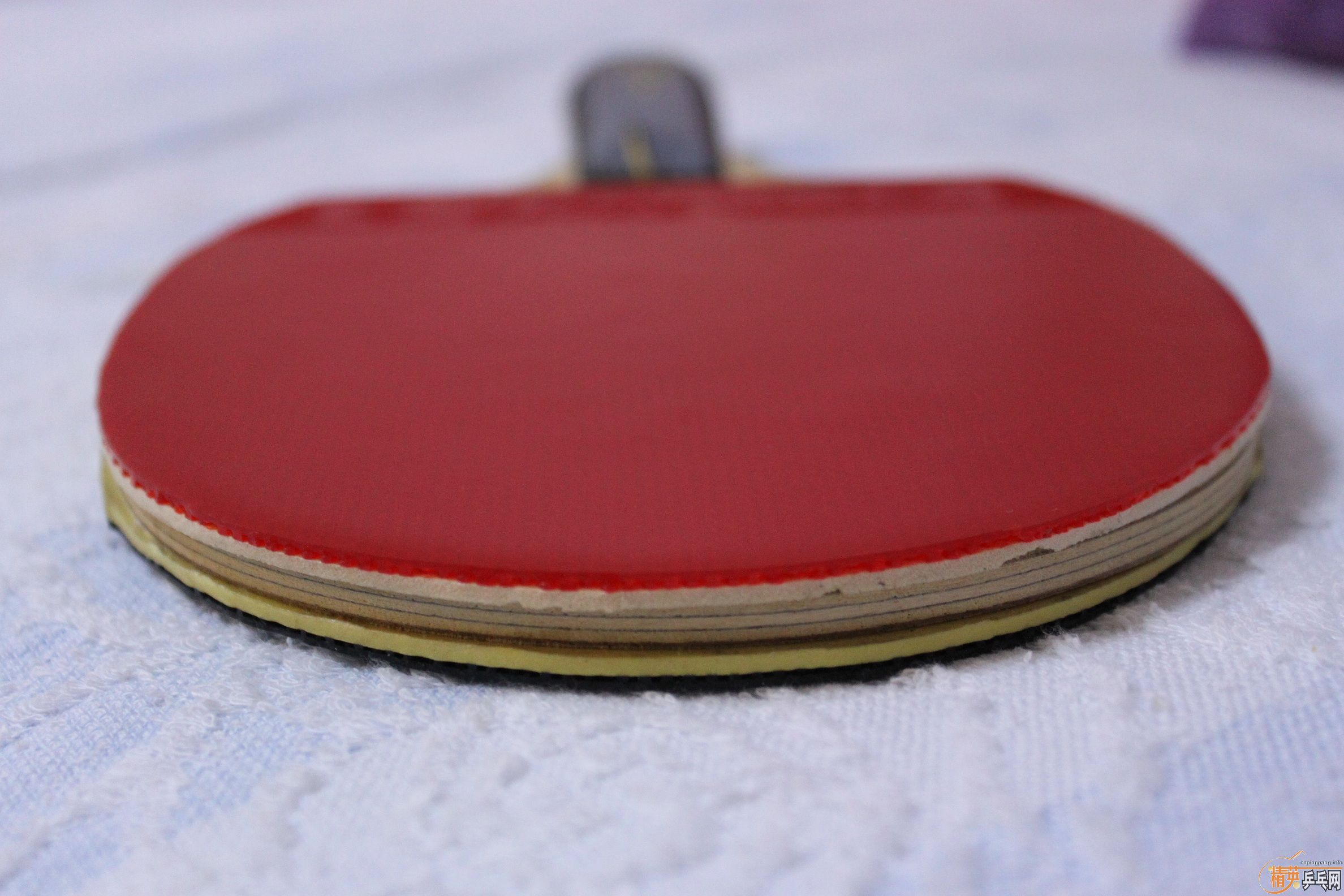 ����9�� ֱ�����S1��ɫ�׽�