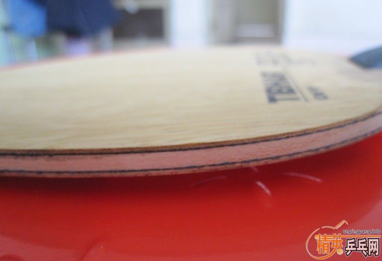 ������ŵ��̼