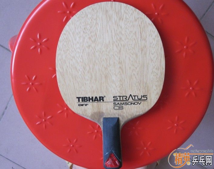 ������ŵ��̼