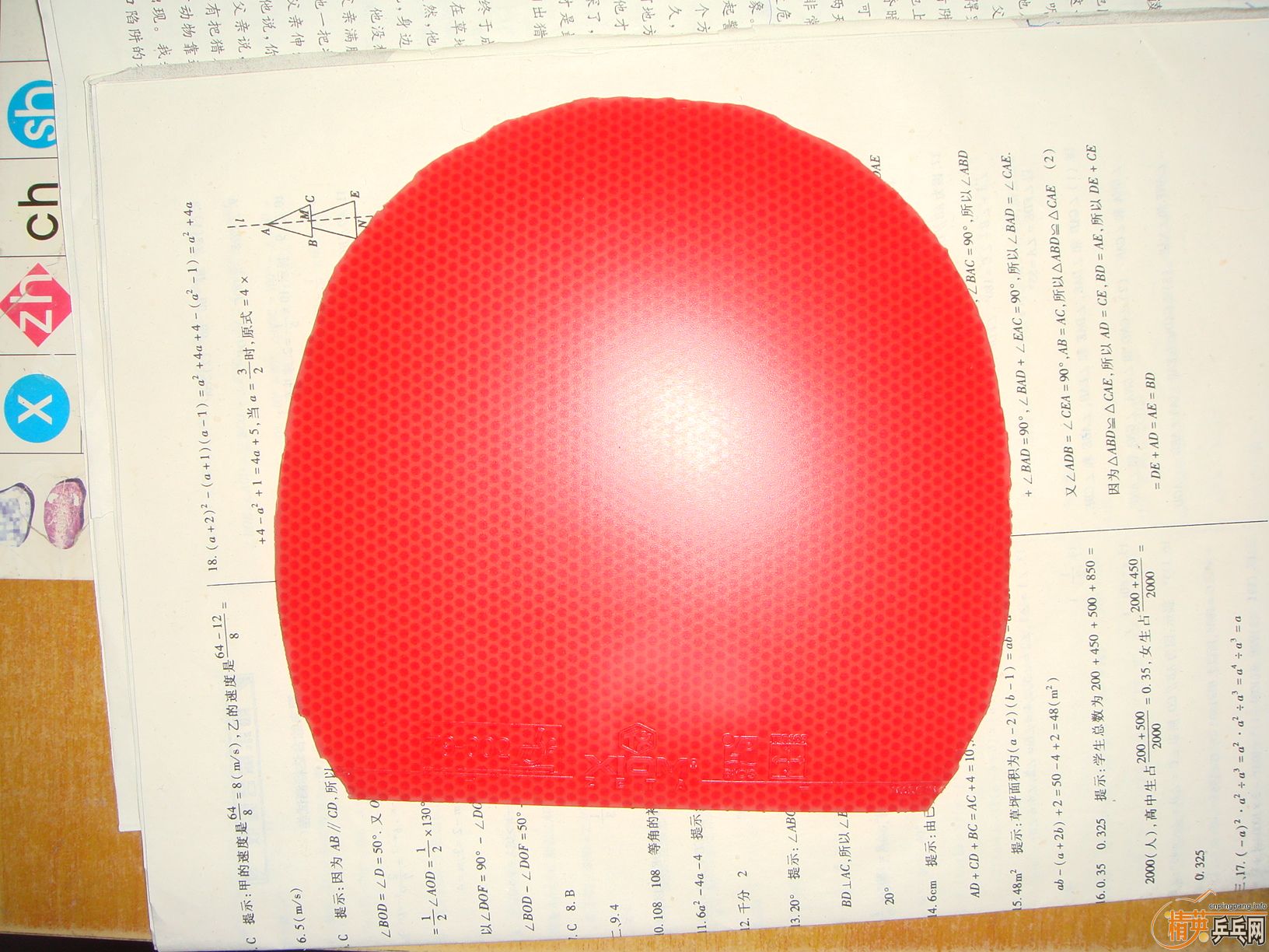 ֱZɫΨٶȺɫ