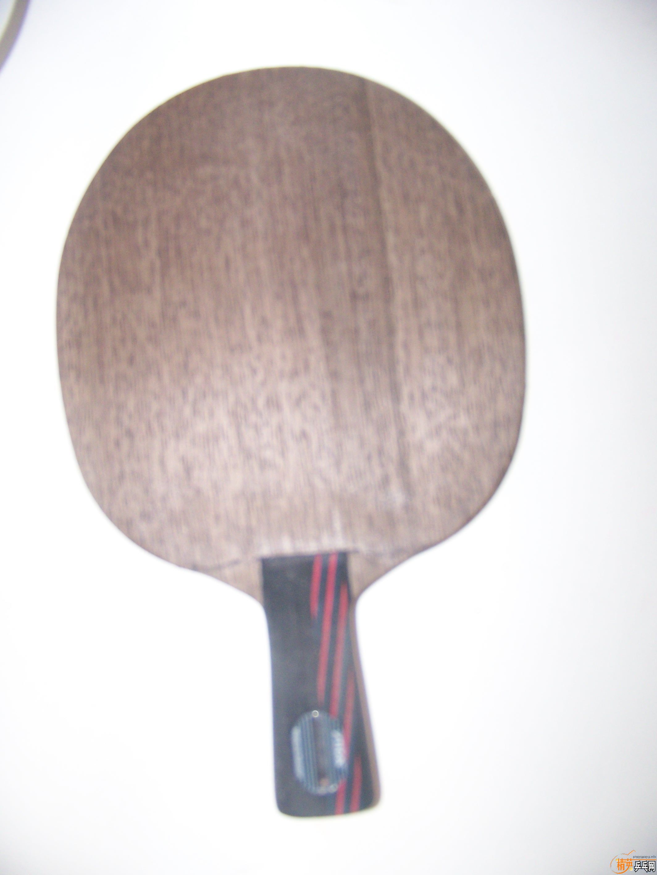 ŷ���ڻ����棡