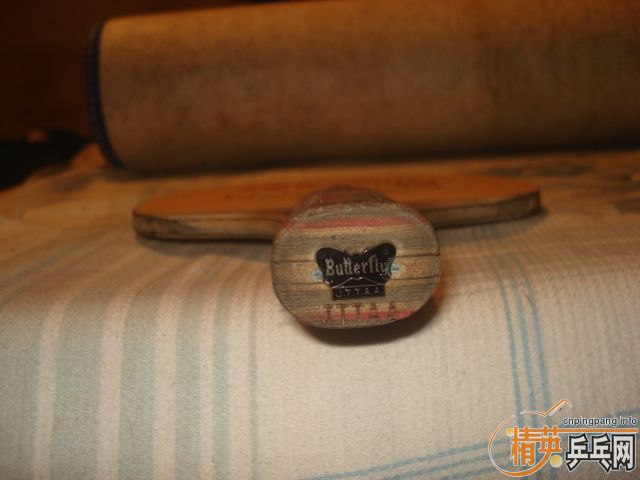 ����������̼��׷��һ����ɱ������ץ����