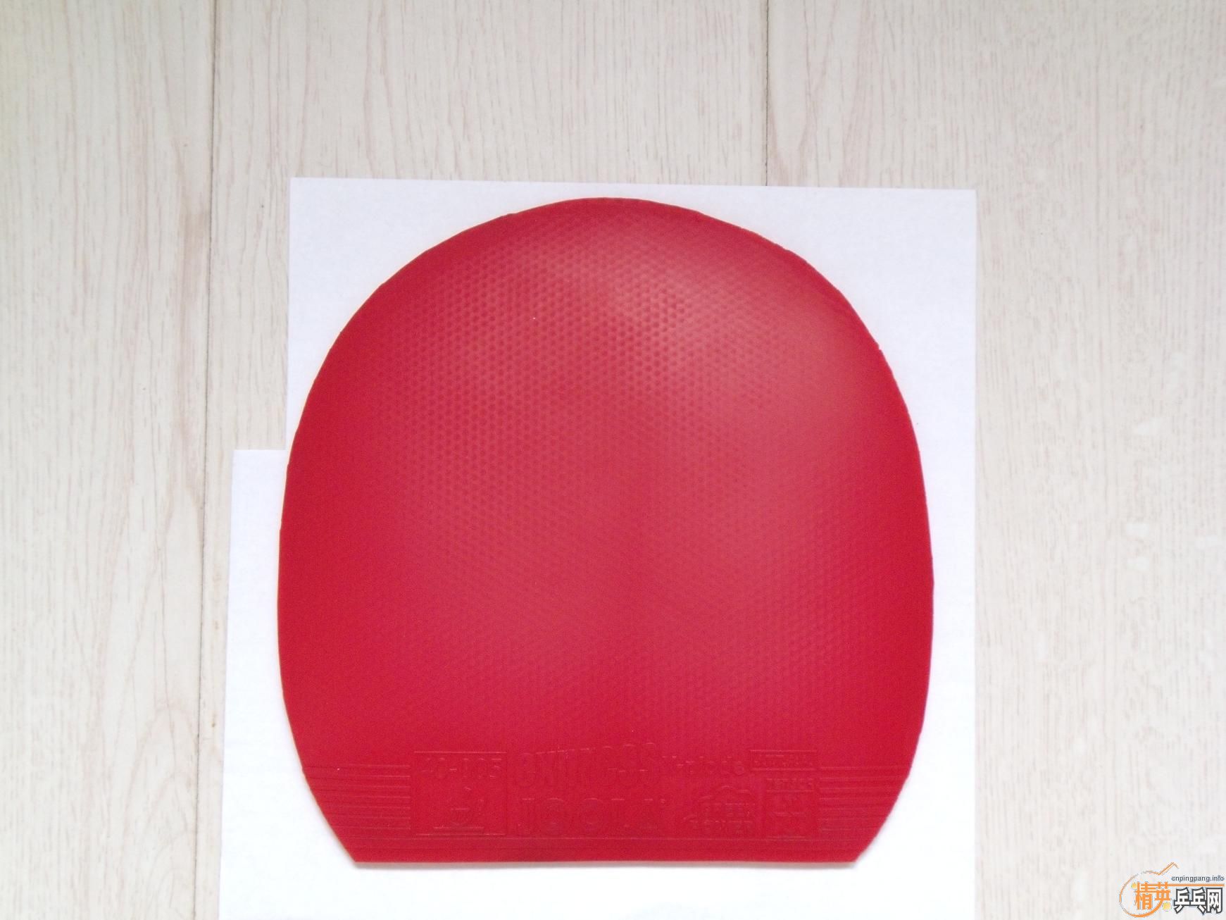 ֧������ʡ���������������