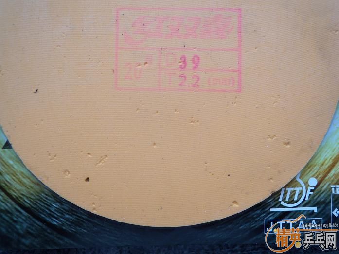 ֧������ʡ���������������