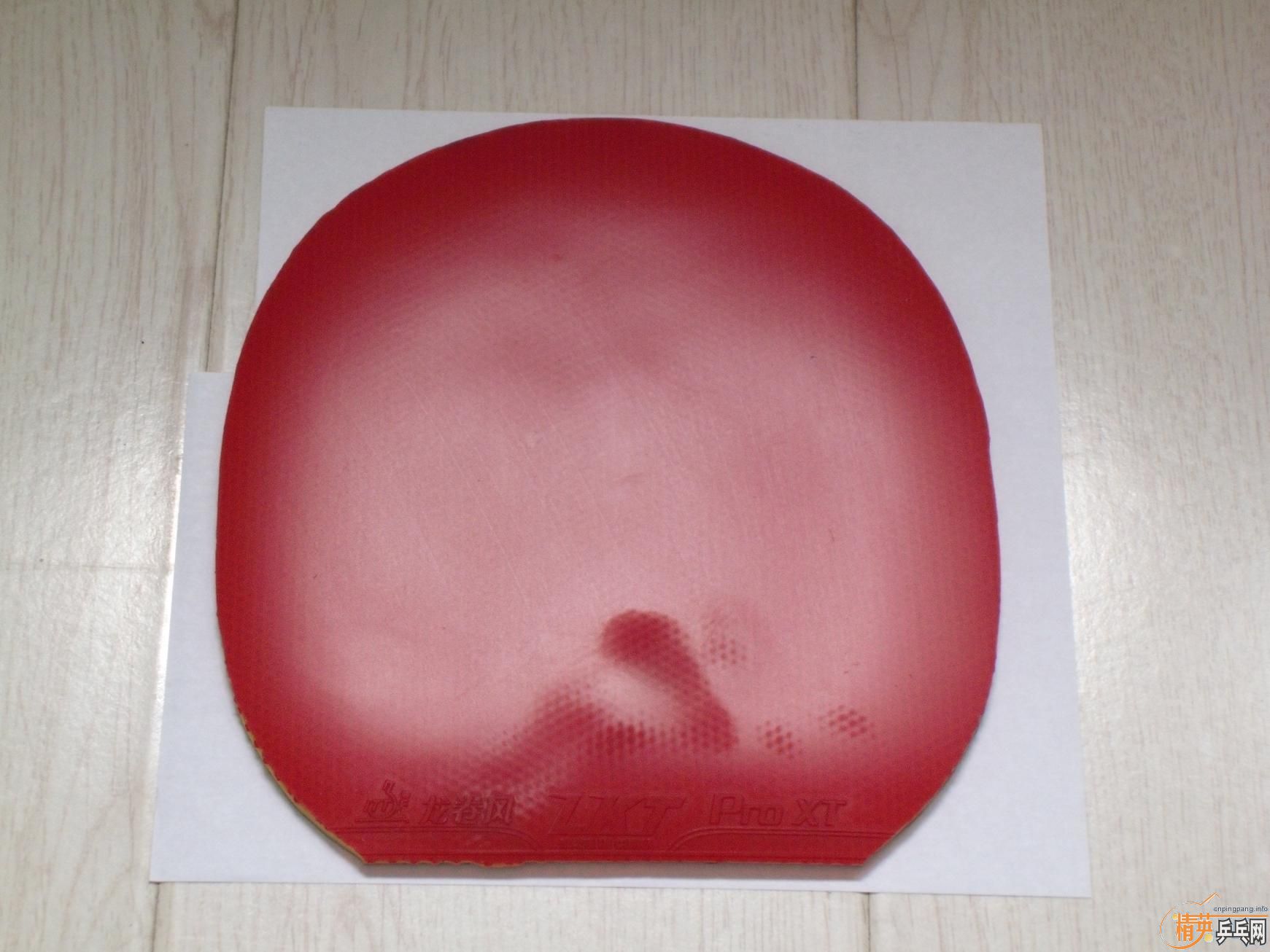 ֧������ʡ���������������