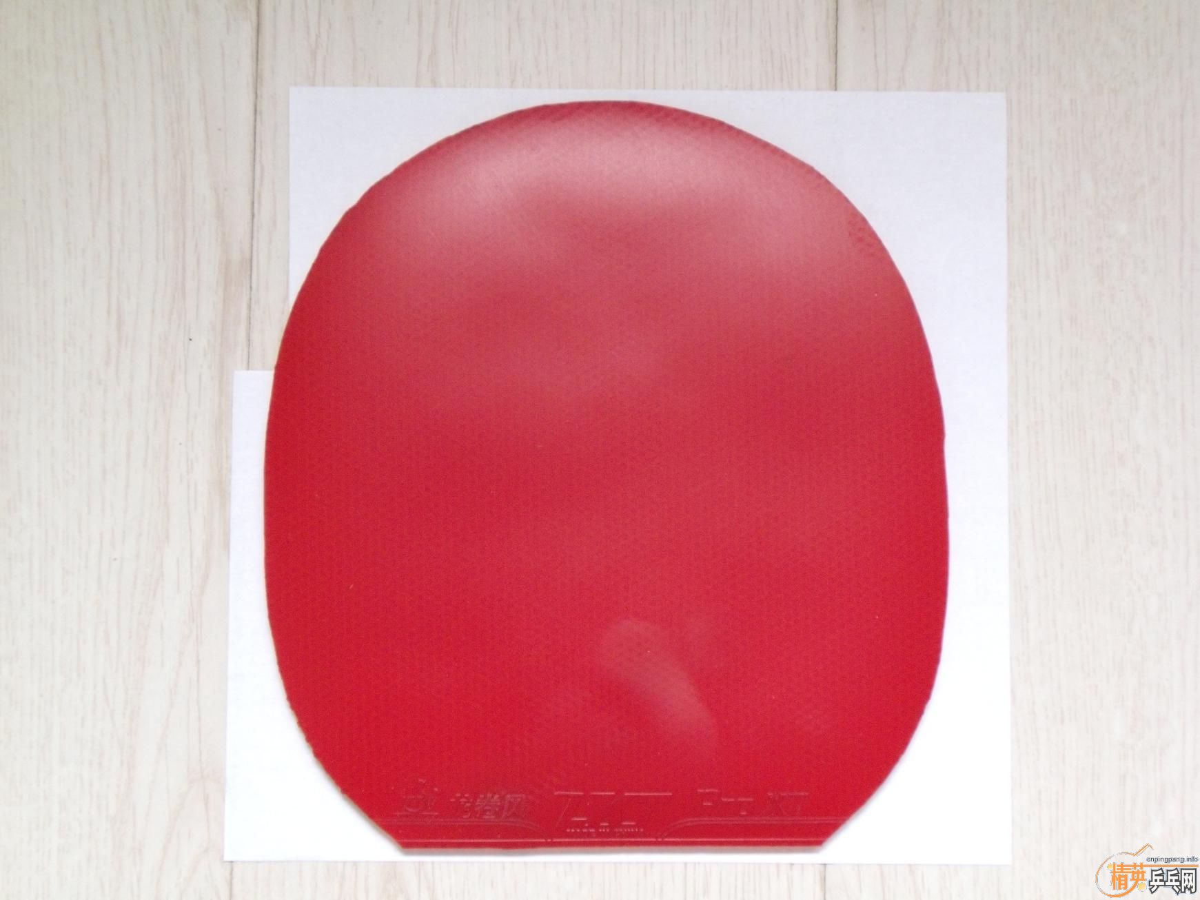 ֧������ʡ���������������