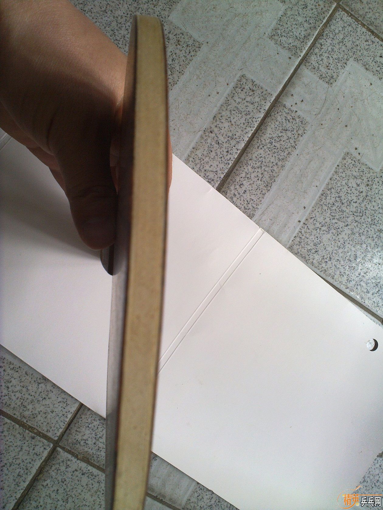 ���л�õ��5