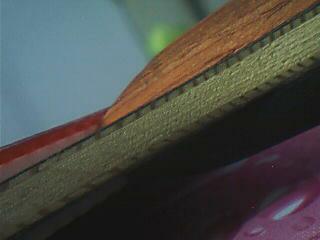 ����2004�ỻһֱ��