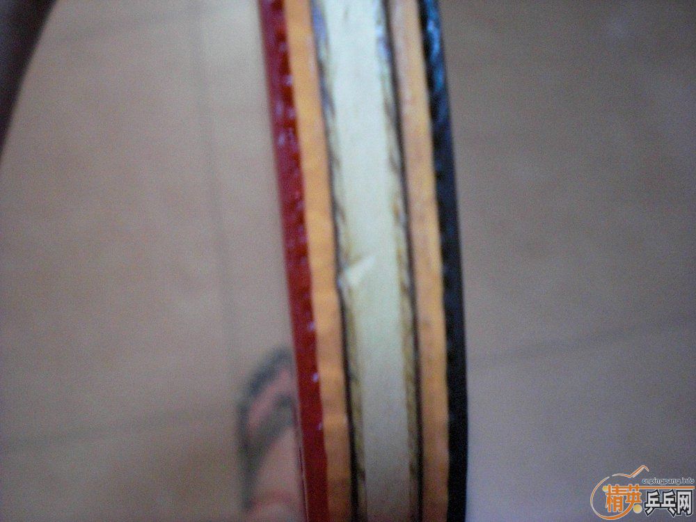 õ��5��joola��צ���۳�