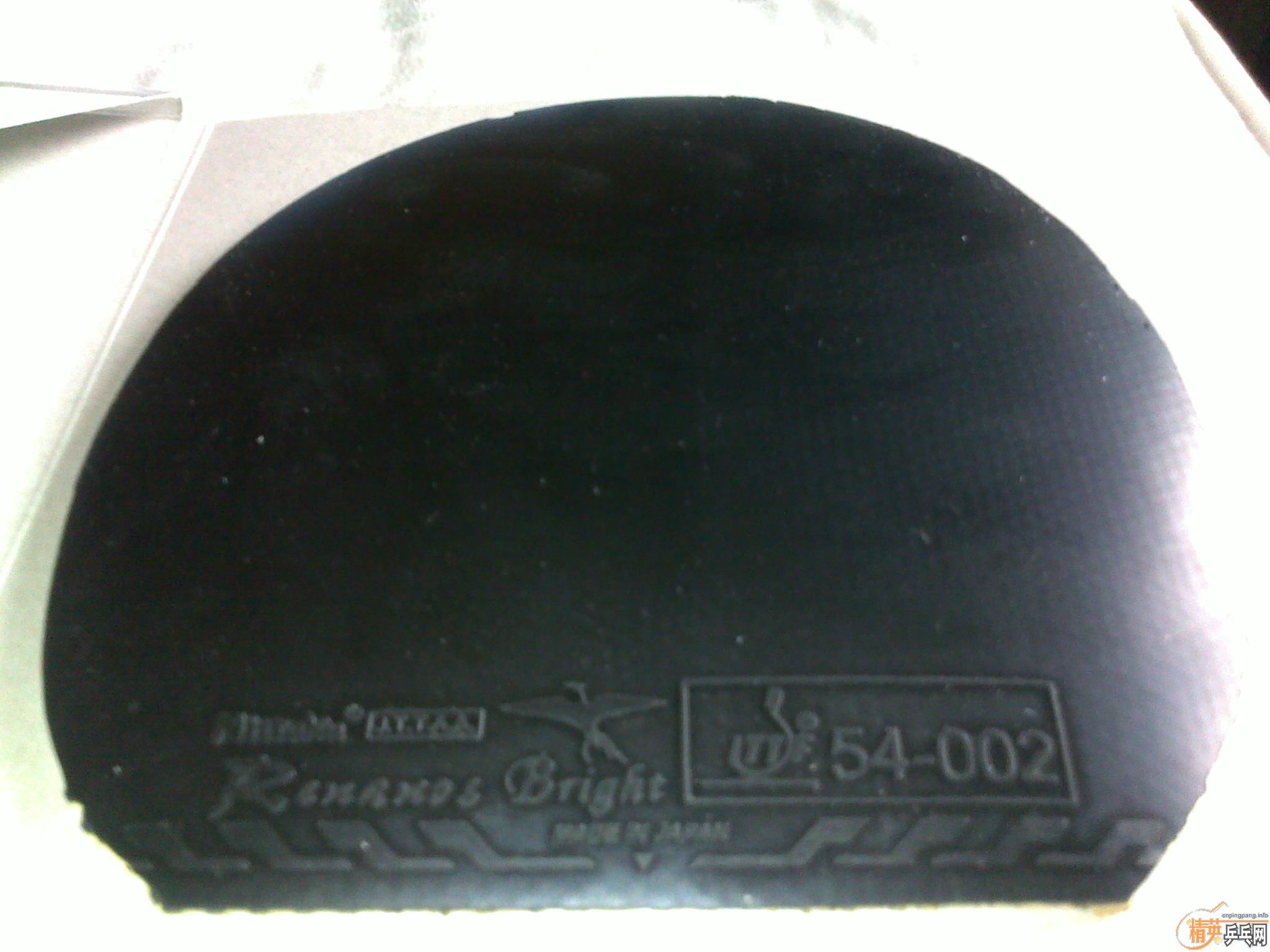 9.9��һŵ�� 8�µ�����˺����� �����