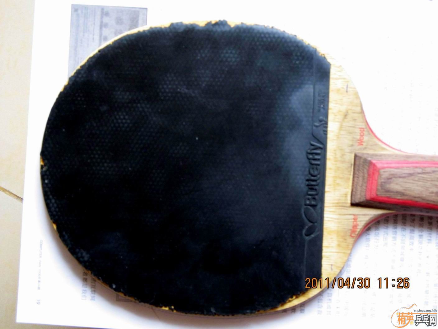 ��һ�������SOLCION ��ɫ�׽�(��������