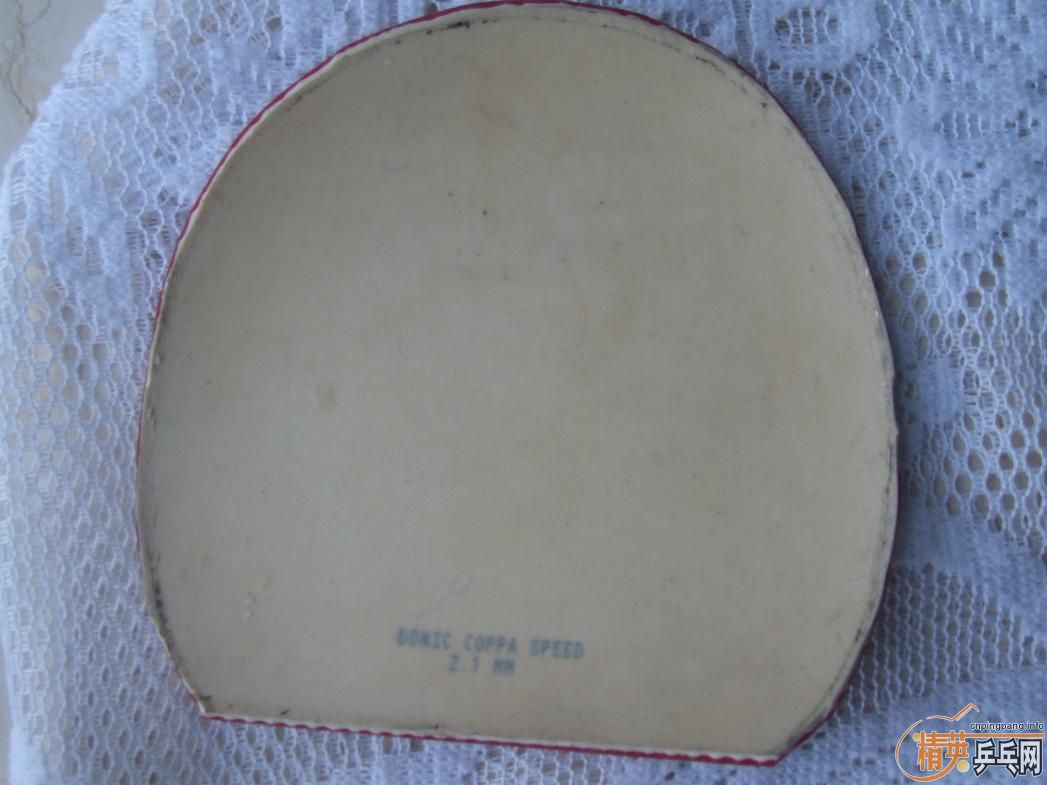 80�������ɫDONIC COPPA SPEED