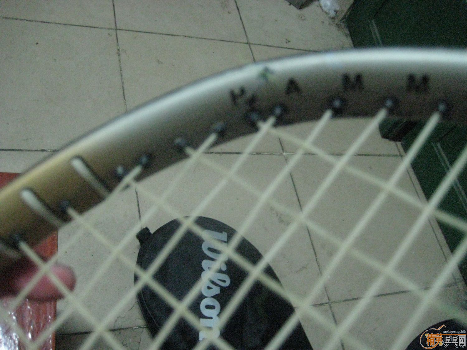 ���˳�һ֧willson������