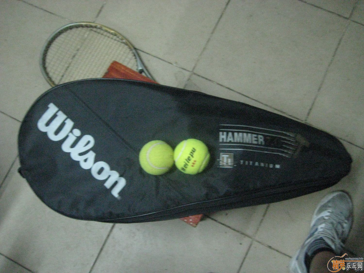 ���˳�һ֧willson������