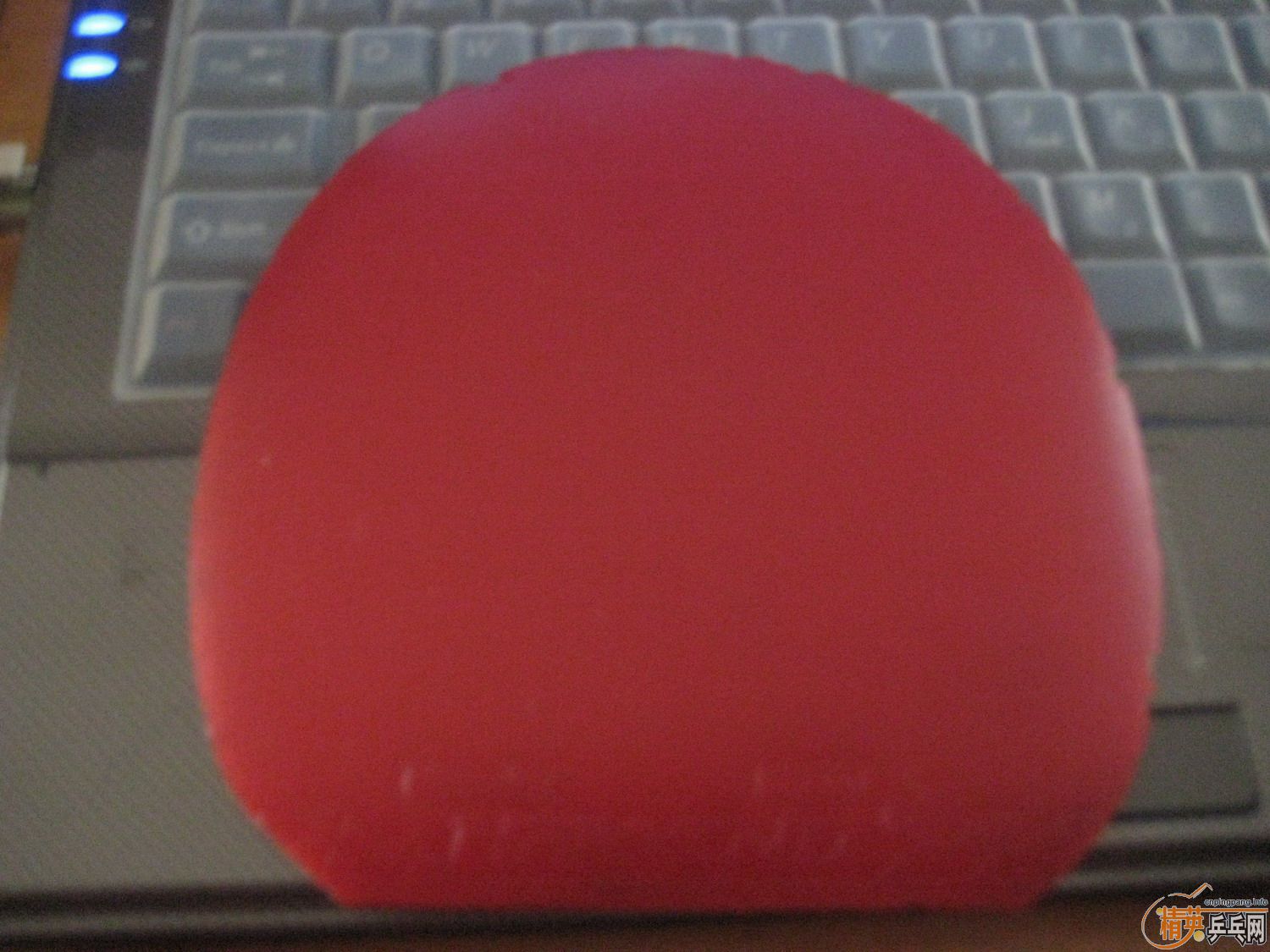 ���˳���������