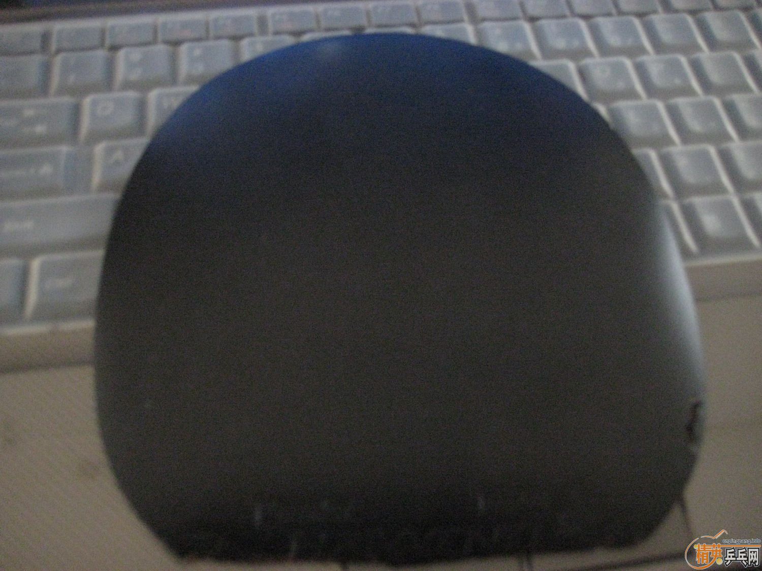 ���˳���������