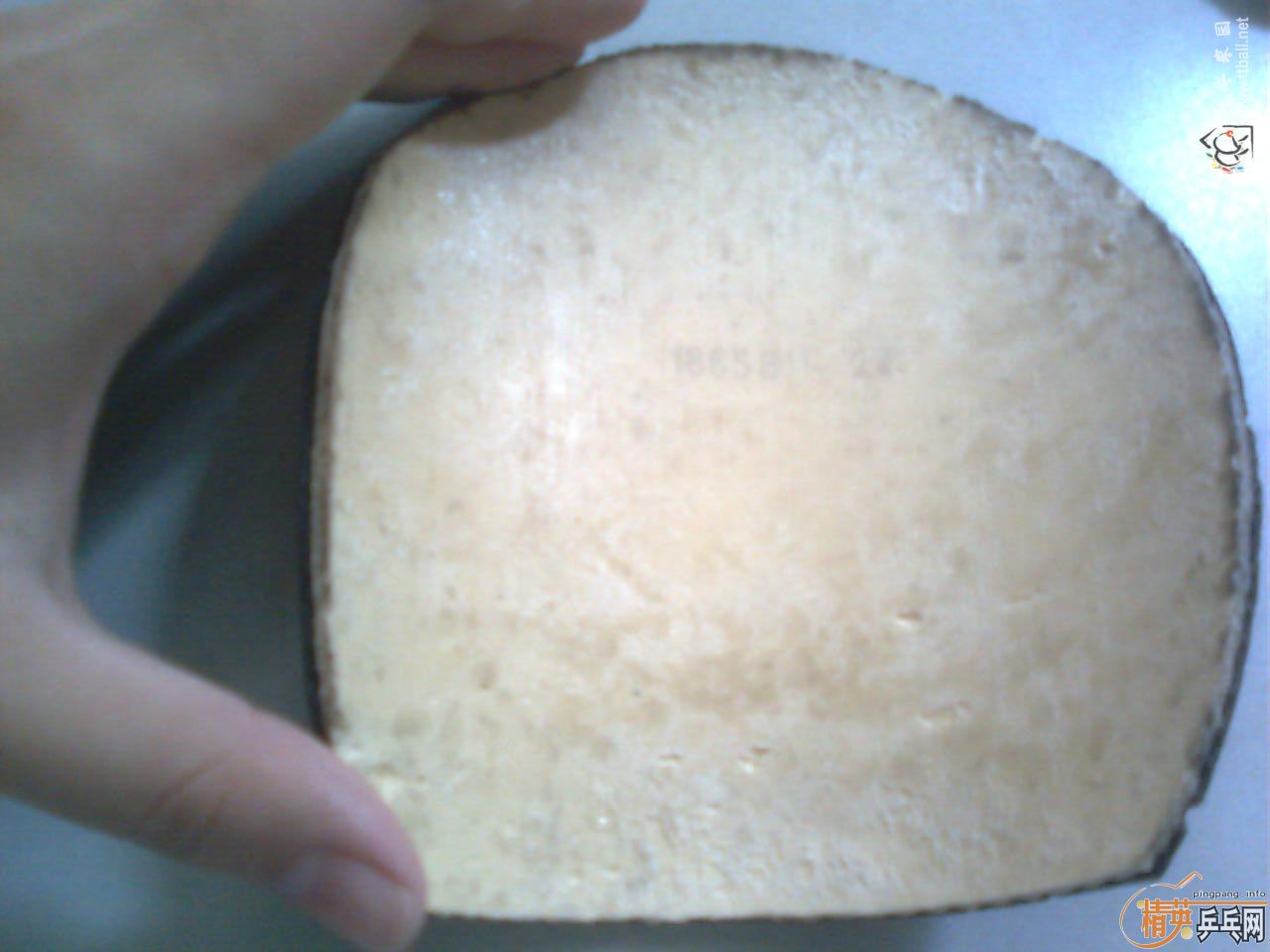 ����JO����3