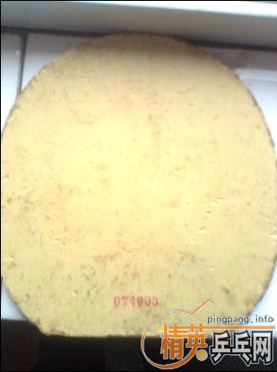 ����ά96ʽ�ϵװ壬˹�ٿ�һŵ���׽�