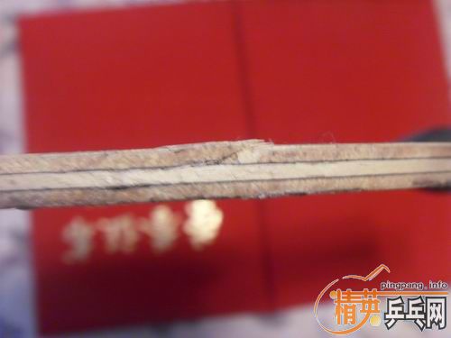 ���ѳ���˹��220���ʣ�֧��֧����