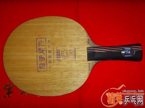 ���ѳ���˹��220���ʣ�֧��֧����