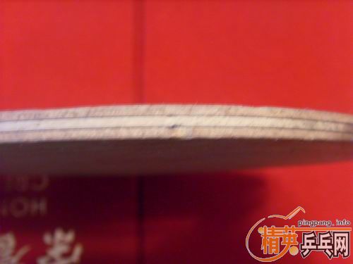 ���ѳ���˹��220���ʣ�֧��֧����