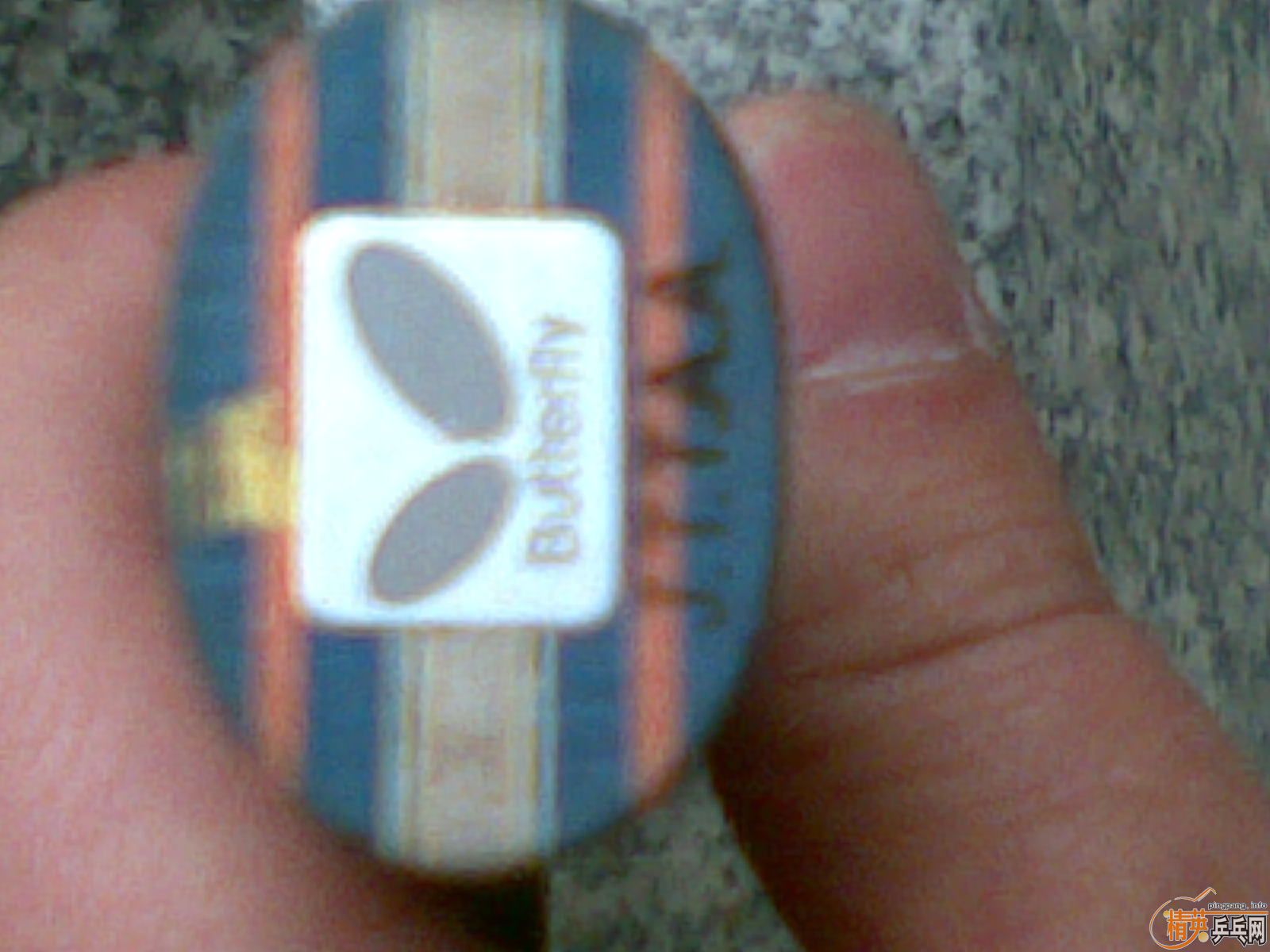 ��ͼ�� ��Ӣ����л��ϲ���