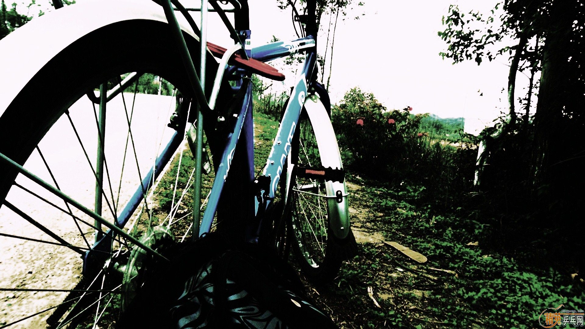 ��ȫ������K5���켫3������3���Ե���ȫ����۶�