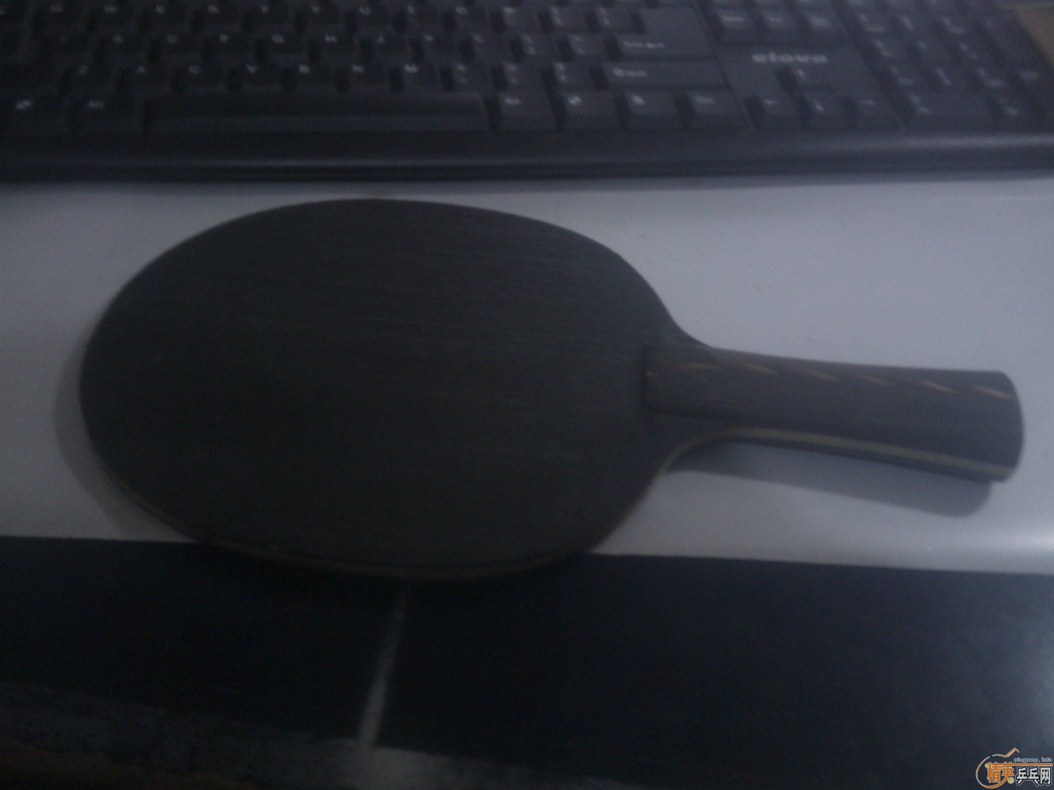 ��ҡ��ڵĳ�һֻԲ�εĶ���